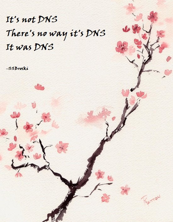 DNS Haiku